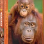 orangutan-baby-336d1ffe0416afdb5d7219f91c0b2322