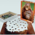 orangutan-baby-b7c366d88a5f4232bbf65725dcdf9e25