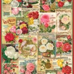 roses-seed-catalogue-collection-b3b9e4093c5fc9bdc4afa1927e9c8433