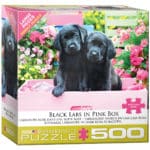 black-labs-in-pink-box-ad7ef059f325c874f11d7808ca208a51