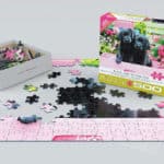 black-labs-in-pink-box-bddb3accc2f3a6641b65cc2d508a38e7