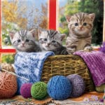 knittin-kittens-bbddaaa8c9ba7c0d6e72d6662b274fa4