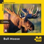 bull-moose-mini-b3fbb55bc332185288b0eaf7ff8a148f