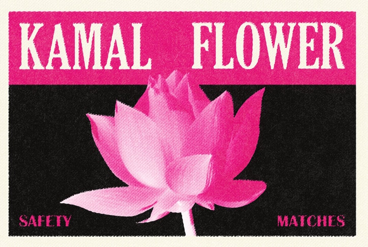 kamal flower-000-resized