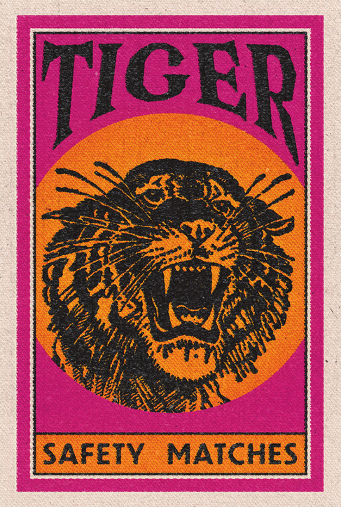 tiger-000-resized
